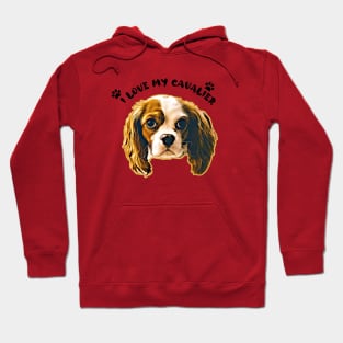 I Love My Cavalier King Charles Spaniel Cute dog Hoodie